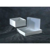 Dynalon LABORATORY TRAY 3X15X10 POLYPROPYLENE 107304