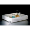 Dynalon LABORATORY TRAY 3X15X10 POLYPROPYLENE 107304