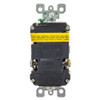 Receptacle, 5-20R, 20 A, 2 Pole, 3 Wire, Grounded  AFR20TRW