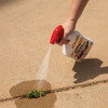 Spectracide 32 Oz. Ready To Use Trigger Spray Weed & Grass Killer HG-96428 733717