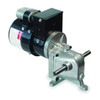 Dayton AC Gearmotor,TENV,3RPM,115/230V AC 1LPZ2
