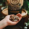 Sol Soils 2 Qt. Succulent Gritty Mix 01-003-02 733716