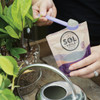 Sol Soils 0.4 Lb. Soil Salvation 04-003-01 744568