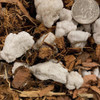 Sol Soils 4 Qt. Orchid Chunky Mix 01-005-03 767278