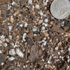 Sol Soils 2 Qt. Houseplant Chunky Mix 01-004-02 709276