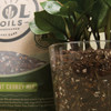 Sol Soils 4 Qt. Houseplant Chunky Mix 01-004-03 716834