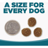 NutriSource 4 Lb. Beef & Rice Recipe Dog Food 26808 750832