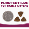 NutriSource 12 Lb. Chicken & Rice Dry Cat & Kitten Food 28021 707795