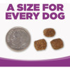 NutriSource 4 Lb. Chicken & Rice Large Breed Puppy Food 26406 763038