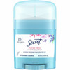 Secret  Deodorizer 31384