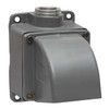 Pin & Sleeve Receptacle, 60/100 A, - Phase, NEMA 4X