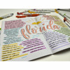 Zebra Mildliner Highlighter 78501 SPR-ZEB78501