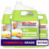 Mr. Clean Professional Floor Cleaner 02621CT