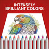 Sharpie Permanent Markers - Assorted Ink - Dry - 24 - Pack 2105407 SPR-SAN2105407