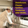 Simple Green  Disinfectant 30501CT SPR-SMP30501CT