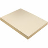 Pacon  Tagboard Paper 5181