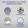 Lysol  Multi-Surface Cleaner 88786CT SPR-RAC88786CT