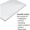 Pacon  Tagboard Paper 5281 SPR-PAC5281