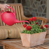 Novelty Root & Vessel 1/2 Gal. Red Deluxe Watering Can Novelty Root & Vessel 1/2 Gal. Red Deluxe Watering Can
