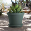 Bloem Terra 12 In. Basil Flower Pot Saucer STT1241 752410