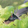 Emsco 33 In. x 13 In. High Rise Elevated Garden Bed 3342D 712845