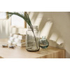 Ball 1 Qt. Color Series Regular Mouth Sand Mason Jars with Lids (4-Count) 2221161 645219
