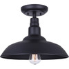 Canarm Valec Type A 100W Black Outdoor Ceiling Light Fixture IOL695BK