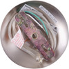 Canarm Toni 5 In. Brushed Nickel Pendant Light Fixture, Flat Opal Glass IPL379A01BPT 558122