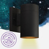 Canarm Night Sky 100W Black Outdoor Wall Light Fixture IOL211BK 533014