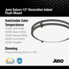 Juno Saturn 13 In. Matte Black Round Semi-Flush Mount Light Fixture *287PRX 563492