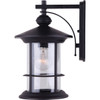 Canarm Treehouse 100W Oil Rubbed Bronze Outdoor Wall Light Fixture IOL124ORB 506789