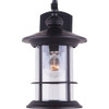 Canarm Treehouse 100W Oil Rubbed Bronze Outdoor Wall Light Fixture IOL124ORB 506789