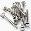 Foreverbolt CrrgBlt,SStl,NL19,6in,Sqr,PK10 FBCB386P10