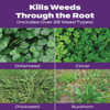 Turf Builder 10m Tb Bonus S Weed&feed 33020 702468