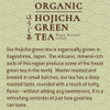 Tejava  Tea 40167 SPR-CWG40167