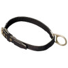 Body Belt, 1 D-Rings, Back Location, Stainless Steel, Includes Padding: No ,M  123N/MBK