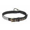 Body Belt, 1 D-Rings, Back Location, Stainless Steel, Includes Padding: No ,M  123N/MBK