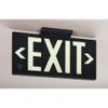 Exit Sign, Plastic, 15-7-8" W, 8-5-8" H, Exit (Double Arrows), Black  GRAN1386
