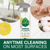 Seventh Generation 23oz Lmn Cleaning Spray 64356725 633063