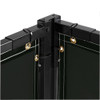Steiner 522HD-6X10