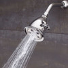 Speakman wall, Shower Head, Polished Chrome, Wall S-2005-HB-E2