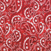 Ergodyne Cooling Bandana,Universal,Red 6700 Pack of 6