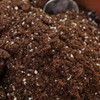 Proven Winners 16 Qt. Premium All Purpose Potting Soil 3101012.Q16P 769346