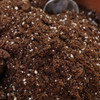 Proven Winners 16 Qt. Premium All Purpose Potting Soil 3101012.Q16P 769346