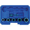 Century Drill & Tool Bolt Extractor Set (6-Piece) 73425 317060