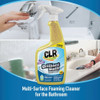 CLR Brands 26 Oz. Brilliant Bath Lavender Foaming Action Cleaner BB26-6-LV 617246