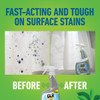 CLR Brands 32 Oz. Mold and Mildew Stain Remover CMM-6 600618