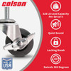 Colson 2 In. Gray TPR Swivel Threaded Stem Caster with Locking Brake 82243 256708
