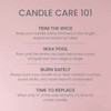 Yankee Candle 14-1-4 Oz. Vanilla Cupcake Medium Pillar Candle 1632929 636948