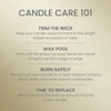Yankee Candle 14-1-4 Oz. Sage & Citrus Medium Pillar Candle 1632948 640216